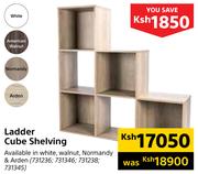 Ladder Cube Shelving