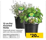 12cm Pot Assorted Herbs-Each