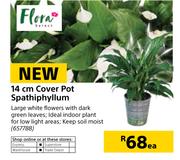 Flora 14cm Cover Pot Spathiphyllum-Each