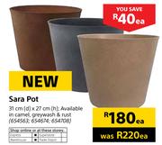 Sara Pot 31cm x 27cm-Each