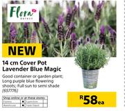 Flora 14cm Cover Pot Lavender Blue Magic-Each