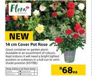 Flora 14cm Cover Pot Rose-Each