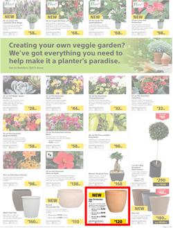 Builders : Thumbs-Up To A Fresh Start (28 Aug - 14 Oct 2018), page 4