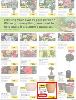 Builders : Thumbs-Up To A Fresh Start (28 Aug - 14 Oct 2018), page 4