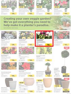 Builders : Thumbs-Up To A Fresh Start (28 Aug - 14 Oct 2018), page 4