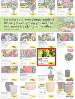 Builders : Thumbs-Up To A Fresh Start (28 Aug - 14 Oct 2018), page 4