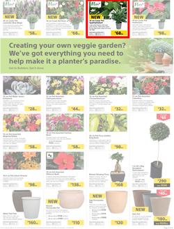 Builders : Thumbs-Up To A Fresh Start (28 Aug - 14 Oct 2018), page 4