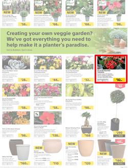 Builders : Thumbs-Up To A Fresh Start (28 Aug - 14 Oct 2018), page 4