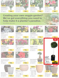 Builders : Thumbs-Up To A Fresh Start (28 Aug - 14 Oct 2018), page 4