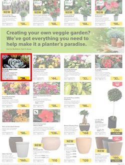 Builders : Thumbs-Up To A Fresh Start (28 Aug - 14 Oct 2018), page 4