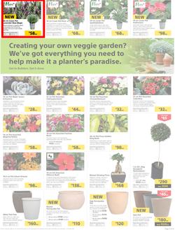 Builders : Thumbs-Up To A Fresh Start (28 Aug - 14 Oct 2018), page 4