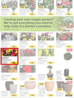 Builders : Thumbs-Up To A Fresh Start (28 Aug - 14 Oct 2018), page 4