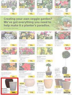 Builders : Thumbs-Up To A Fresh Start (28 Aug - 14 Oct 2018), page 4