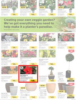 Builders : Thumbs-Up To A Fresh Start (28 Aug - 14 Oct 2018), page 4