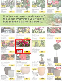 Builders : Thumbs-Up To A Fresh Start (28 Aug - 14 Oct 2018), page 4