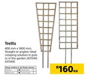 Trellis 400 x 1400mm-Each