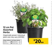 12cm Pot Assorted Herbs-Each