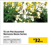 15cm Pot Nemesia Nesia Series-Each