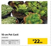 10cm Pot Cacti-Each