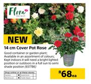 Flora 14cm Cover Pot Rose-Each