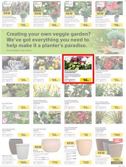 Builders : Thumbs-Up To A Fresh Start (28 Aug - 14 Oct 2018), page 20