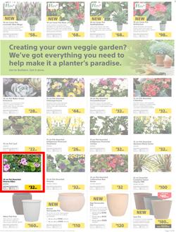 Builders : Thumbs-Up To A Fresh Start (28 Aug - 14 Oct 2018), page 20