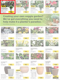 Builders : Thumbs-Up To A Fresh Start (28 Aug - 14 Oct 2018), page 20