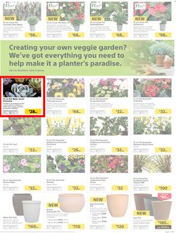 Builders : Thumbs-Up To A Fresh Start (28 Aug - 14 Oct 2018), page 20