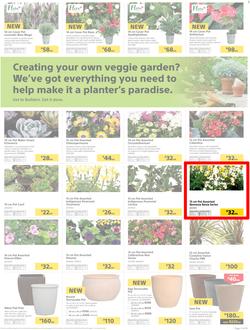 Builders : Thumbs-Up To A Fresh Start (28 Aug - 14 Oct 2018), page 20