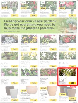 Builders : Thumbs-Up To A Fresh Start (28 Aug - 14 Oct 2018), page 20