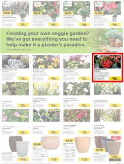 Builders : Thumbs-Up To A Fresh Start (28 Aug - 14 Oct 2018), page 20