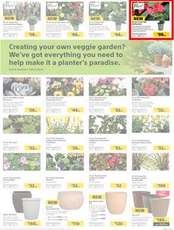 Builders : Thumbs-Up To A Fresh Start (28 Aug - 14 Oct 2018), page 20