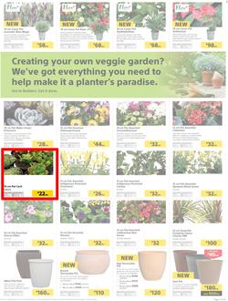 Builders : Thumbs-Up To A Fresh Start (28 Aug - 14 Oct 2018), page 20