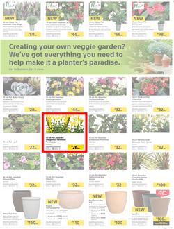 Builders : Thumbs-Up To A Fresh Start (28 Aug - 14 Oct 2018), page 20