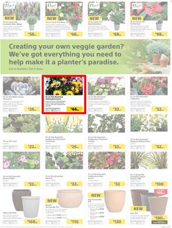 Builders : Thumbs-Up To A Fresh Start (28 Aug - 14 Oct 2018), page 20