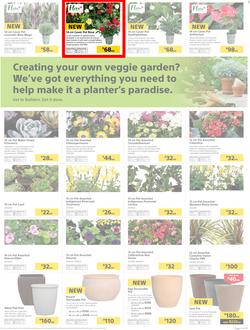 Builders : Thumbs-Up To A Fresh Start (28 Aug - 14 Oct 2018), page 20