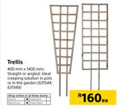 Trellis-400mm x 1400mm Each