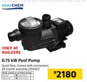 Blue Chem 0.75kW Pool Pump