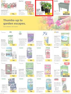 Builders : Thumbs-Up To A Fresh Start (28 Aug - 14 Oct 2018), page 35