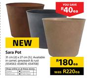31cm X 27cm Sara Pot-Each