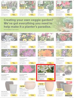 Builders : Thumbs-Up To A Fresh Start (28 Aug - 14 Oct 2018), page 36