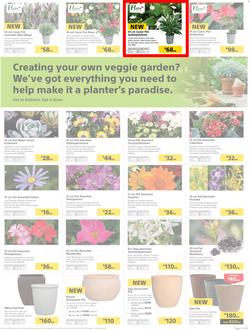 Builders : Thumbs-Up To A Fresh Start (28 Aug - 14 Oct 2018), page 36