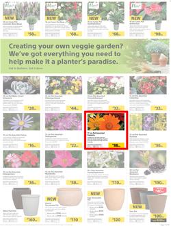 Builders : Thumbs-Up To A Fresh Start (28 Aug - 14 Oct 2018), page 36