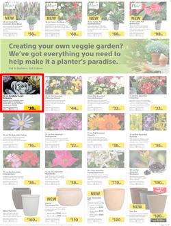 Builders : Thumbs-Up To A Fresh Start (28 Aug - 14 Oct 2018), page 36