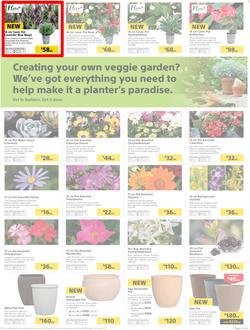 Builders : Thumbs-Up To A Fresh Start (28 Aug - 14 Oct 2018), page 36