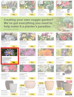 Builders : Thumbs-Up To A Fresh Start (28 Aug - 14 Oct 2018), page 36