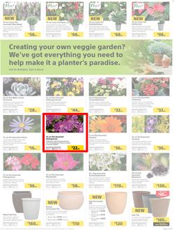 Builders : Thumbs-Up To A Fresh Start (28 Aug - 14 Oct 2018), page 36