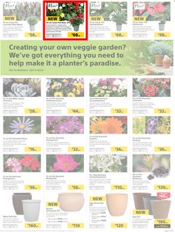 Builders : Thumbs-Up To A Fresh Start (28 Aug - 14 Oct 2018), page 36