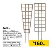 Trellis-400mm x 1400mm Each