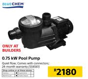 Blue Chem 0.75KW Pool Pump